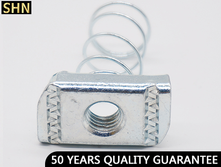 HDG Channel Spring Nut