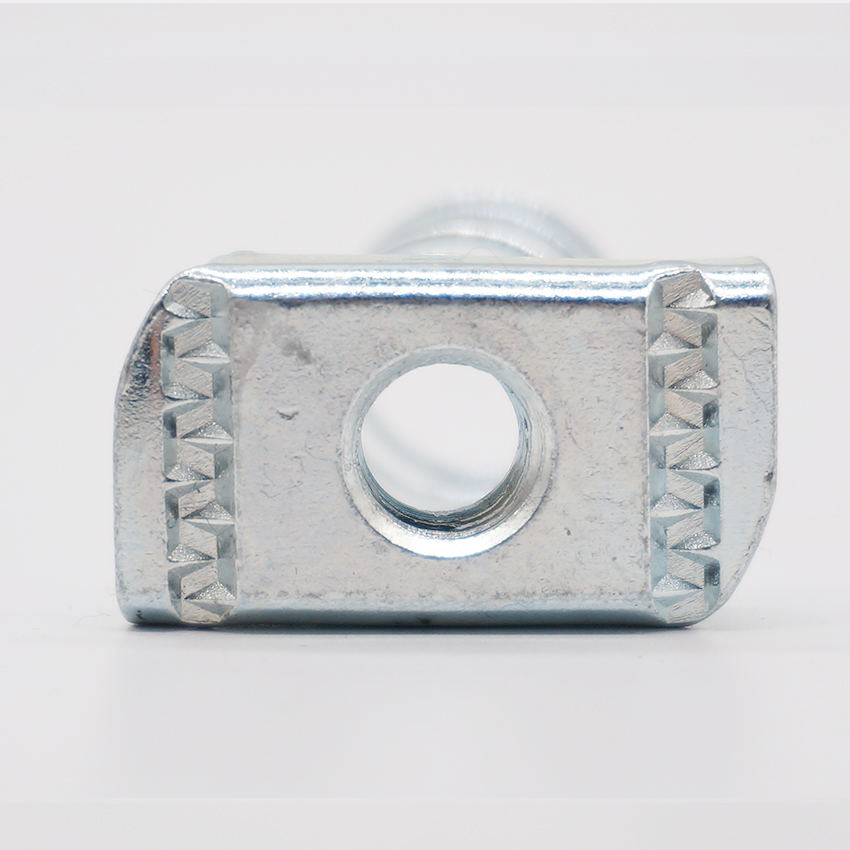 Polished Stainless Steel Square Head Spring Nuts